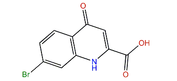 Caelestine A